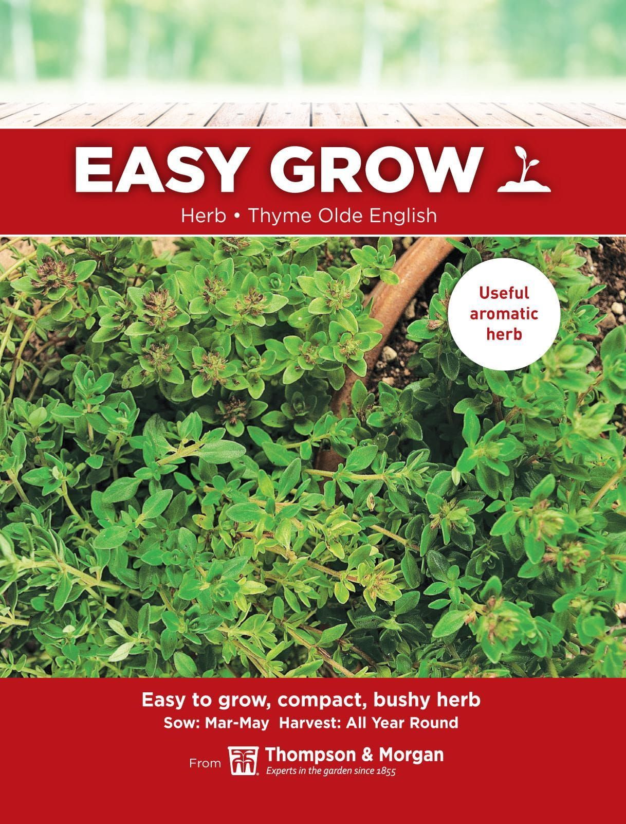Thompson & Morgan - EasyGrow - Herb - Thyme Olde English - Thymus Vulgaris - 400 Seeds