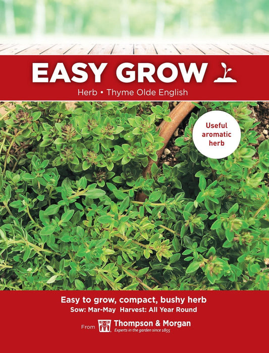 Thompson & Morgan - EasyGrow - Herb - Thyme Olde English - Thymus Vulgaris - 400 Seeds