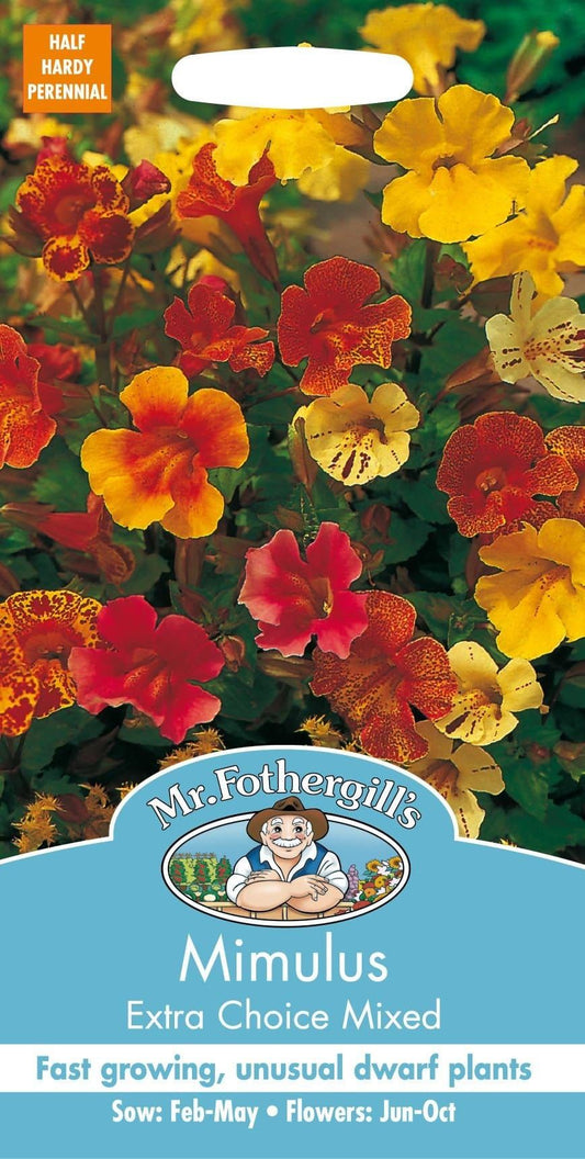 Mr Fothergills Mimulus Extra Choice Mixed 2500 Seeds