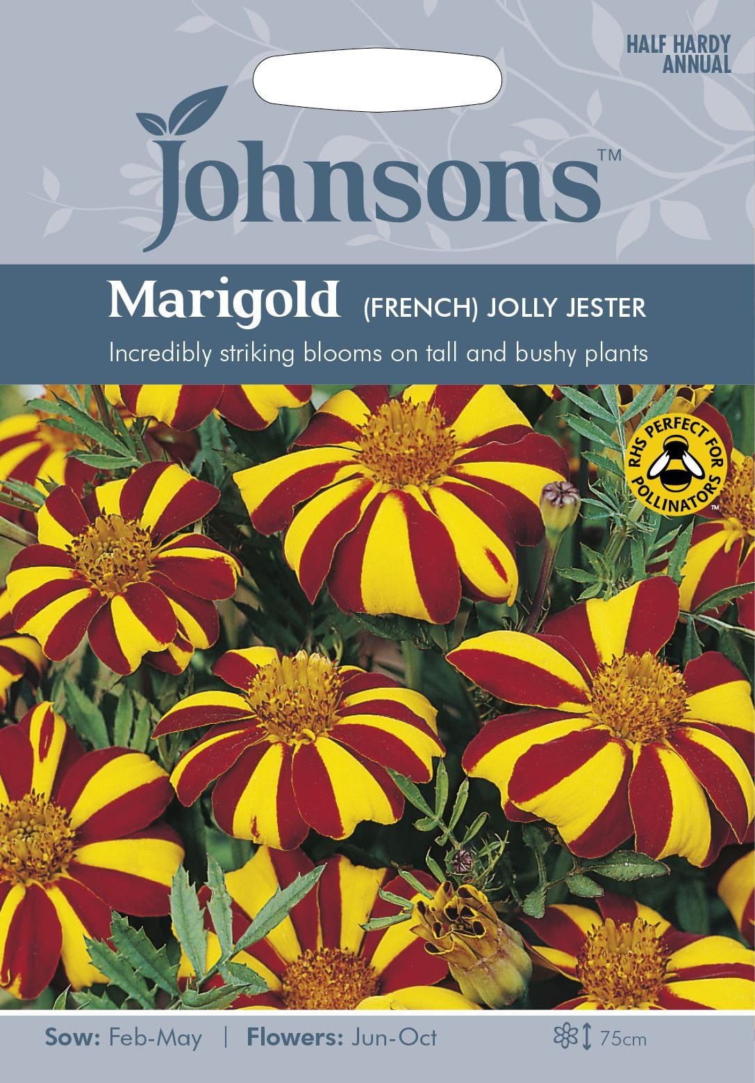 Johnsons French Marigold Jolly Jester 75 Seeds