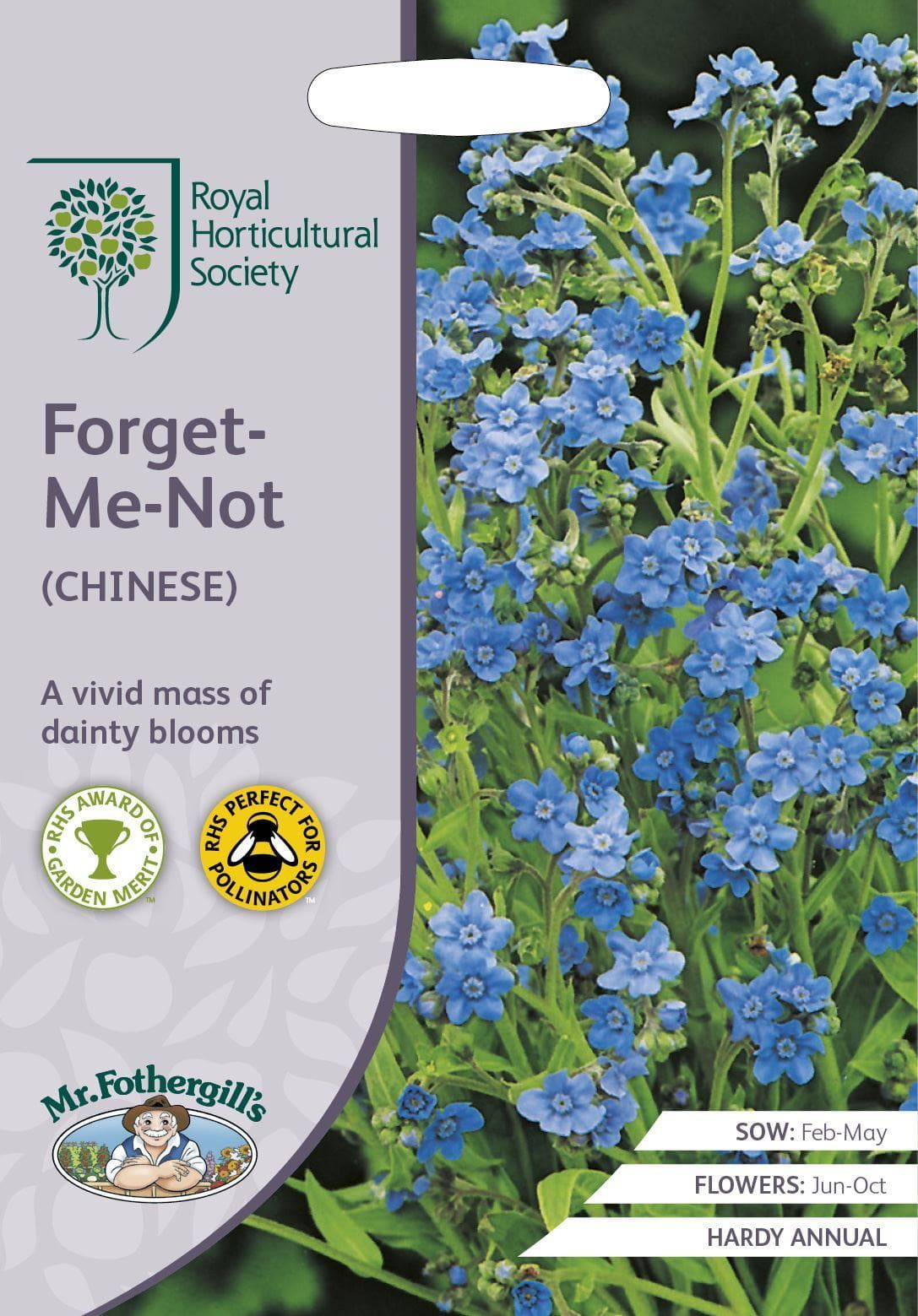 Mr Fothergills RHS Forget-Me-Not (Chinese) 300 Seeds