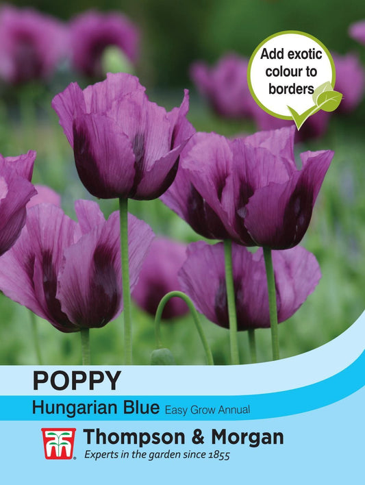 Thompson & Morgan - Flower - Poppy - Hungarian Blue - 500 Seeds