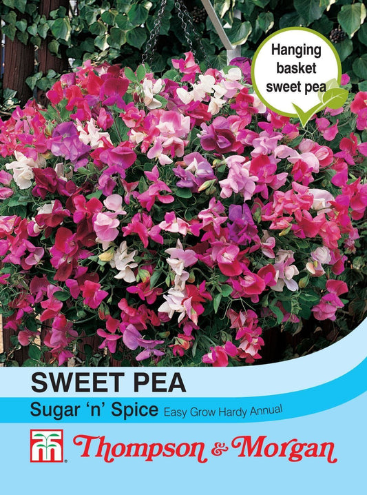 Thompson & Morgan Sweet Pea Sugar N Spice 25 Seed