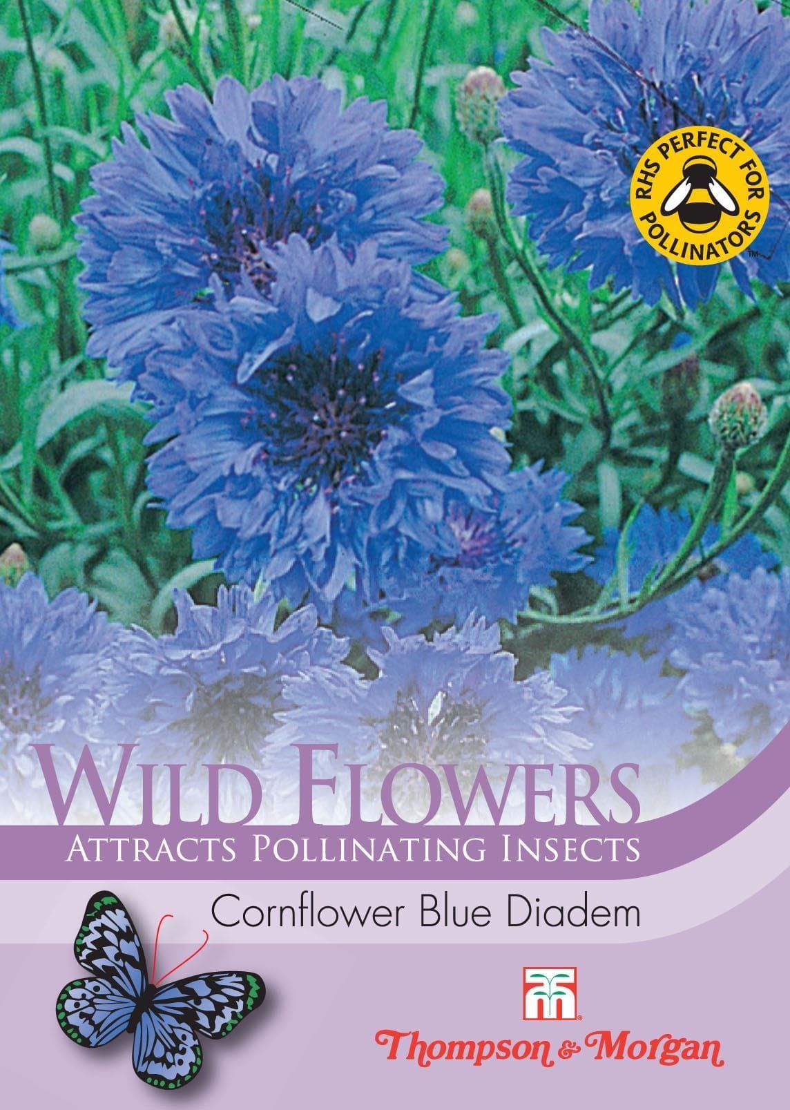 Thompson & Morgan Wild Flower Cornflower Blue Diadem 180 Seed