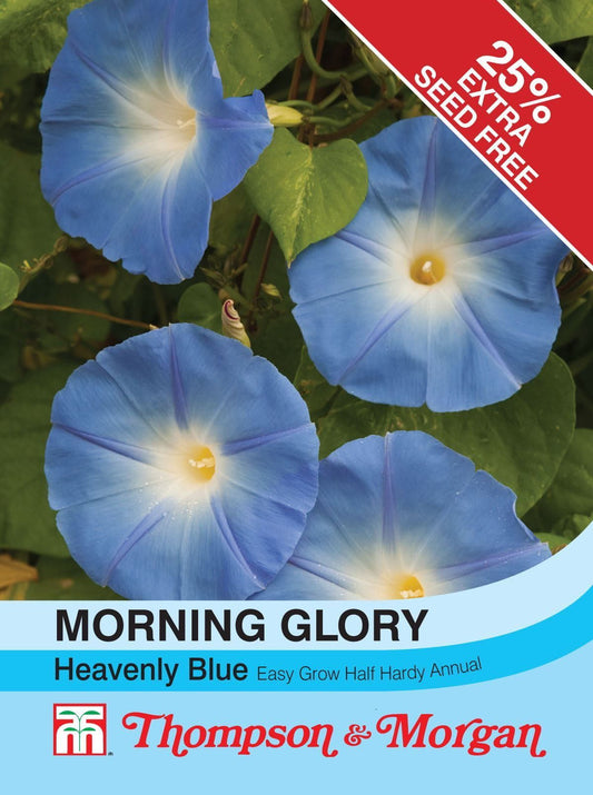Thompson & Morgan Morning Glory Heavenly Blue (Ipomoea) 50 Seed