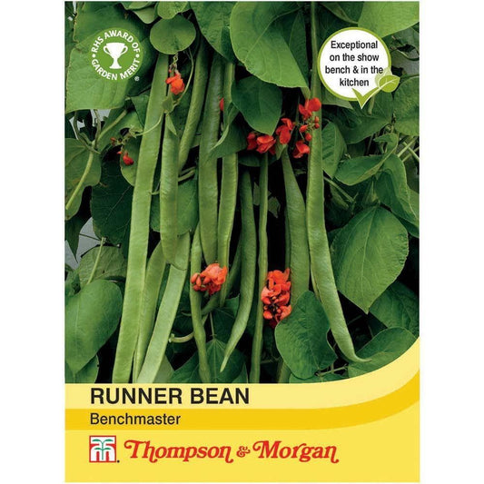 Thompson & Morgan Runner Bean Benchmaster 40 Seed