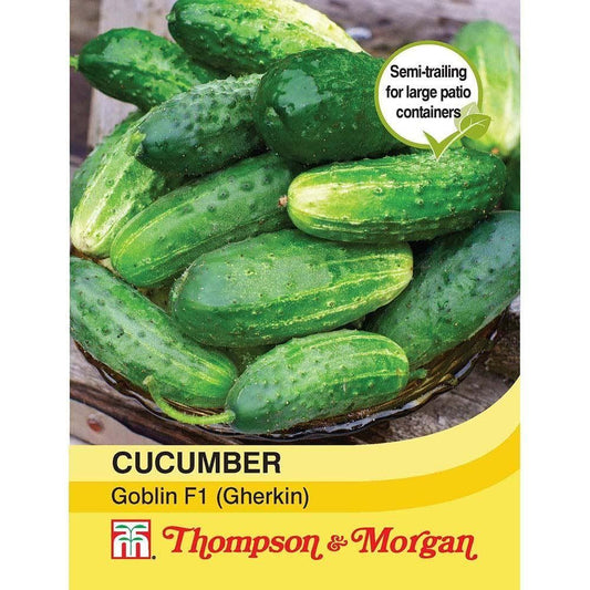 Thompson & Morgan - Cucumber Goblin F1 Hybrid (Gherkin) - 6 Seeds