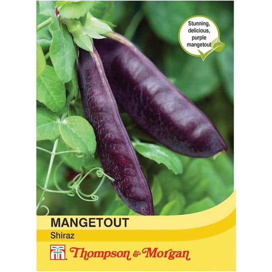 Thompson & Morgan Mangetout Shiraz 100 Seed