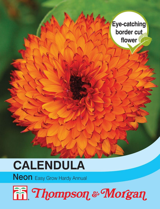 Thompson & Morgan Calendula Neon 100 Seed