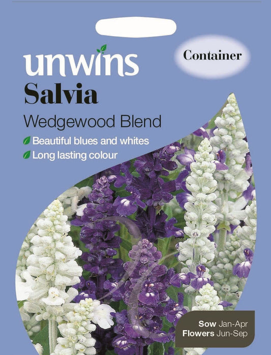 Unwins Salvia Wedgewood Blend 120 Seeds