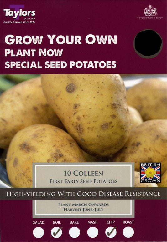 Taylors - Seed Potatoes - Colleen - 8 Tubers - First Early