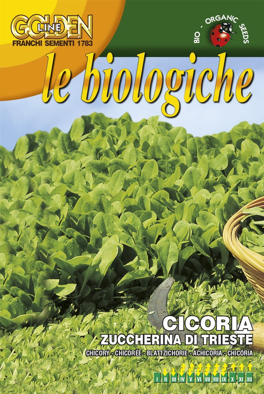 Franchi Organic BIOB40/18 Chicory Zuccherino of Trieste Seeds