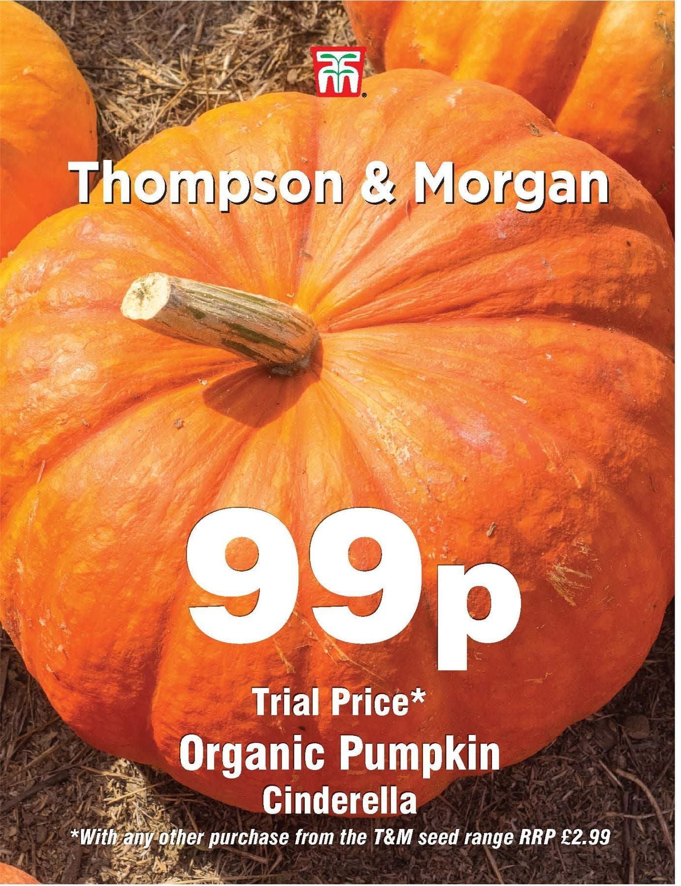 Thompson & Morgan Organic Pumpkin Cinderella 8 Seed Only 99p