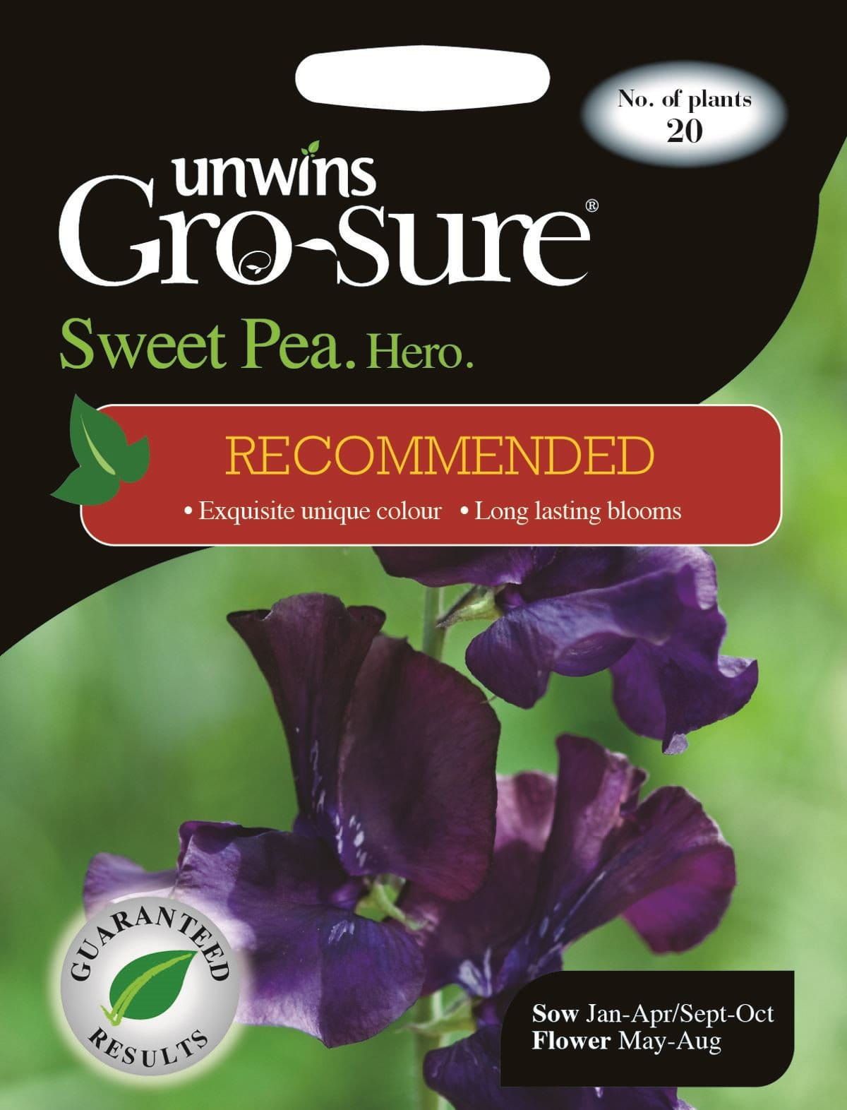 Unwins Sweet Pea Hero (Recommended) 21 Seeds