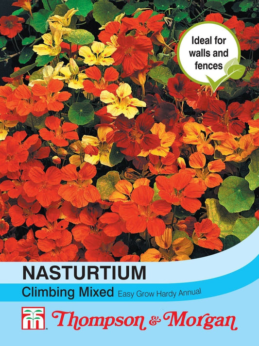 Thompson & Morgan Nasturtium Climbing Mixed 40 Seed
