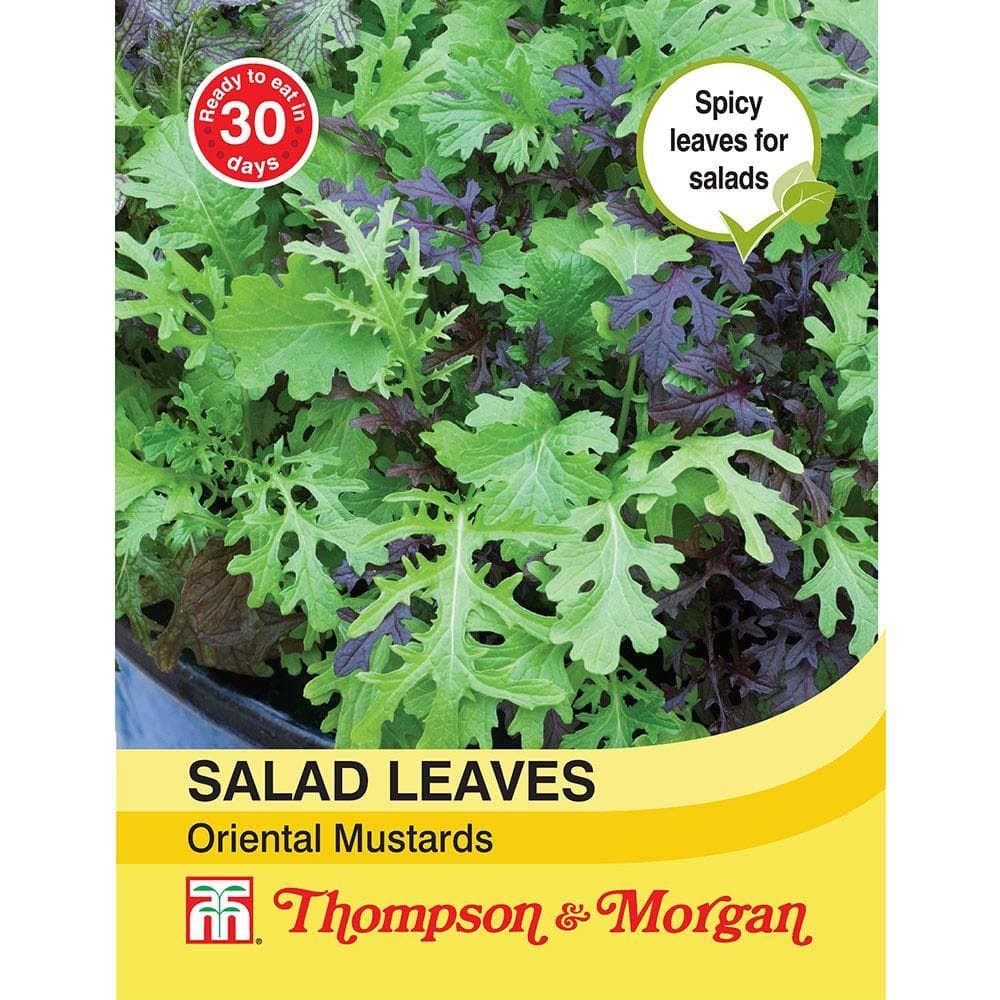 Thompson & Morgan Salad Leaves Oriental Mustards 400 Seed