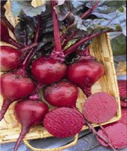 Beetroot Crimson King Seeds