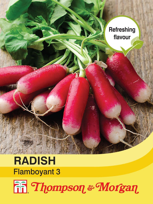 Thompson & Morgan Radish Flamboyant 3 300 Seed
