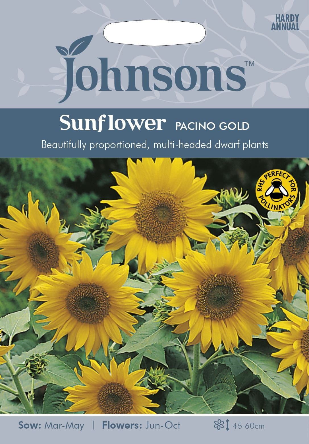 Johnsons Sunflower Pacino Gold 20 Seeds