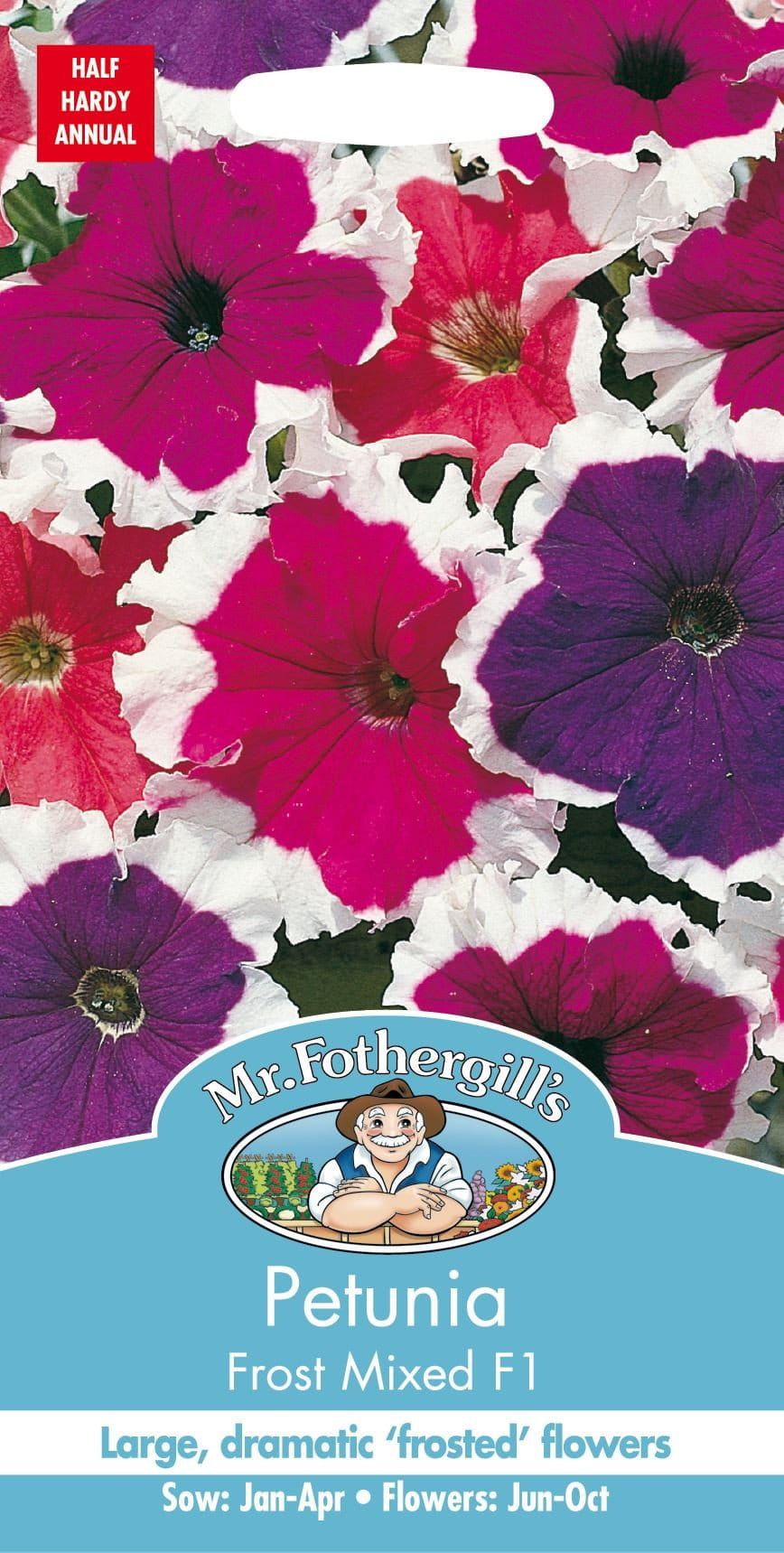 High-Quality Petunia Seeds Online Moment for Your Screen High-Quality Petunia Seeds Online Moment for Your Screen