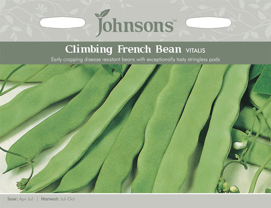 Johnsons Climbing Bean Vitalis 50 Seeds