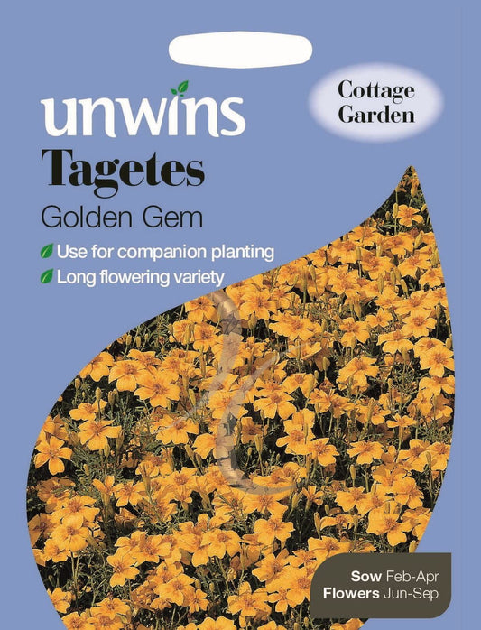 Unwins Tagetes Golden Gem 450 Seeds
