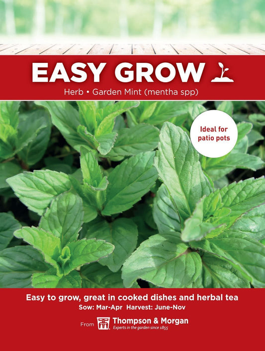 Thompson & Morgan - Easy Grow - Herb - Garden Mint (mentha spp) - 750 Seeds