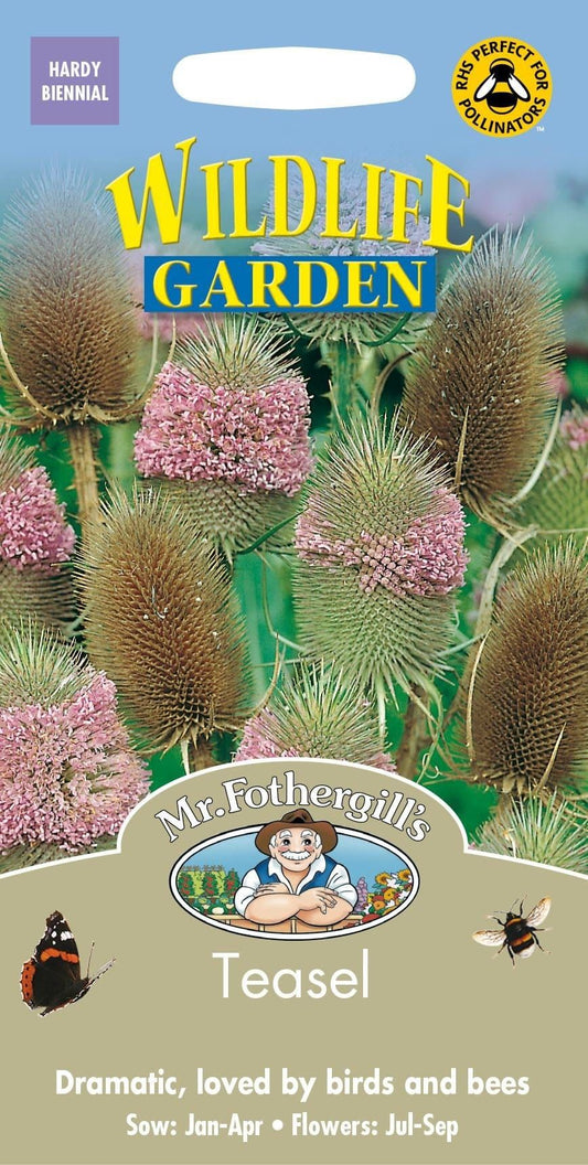 Mr Fothergills Wildflower Teasel 150 Seeds