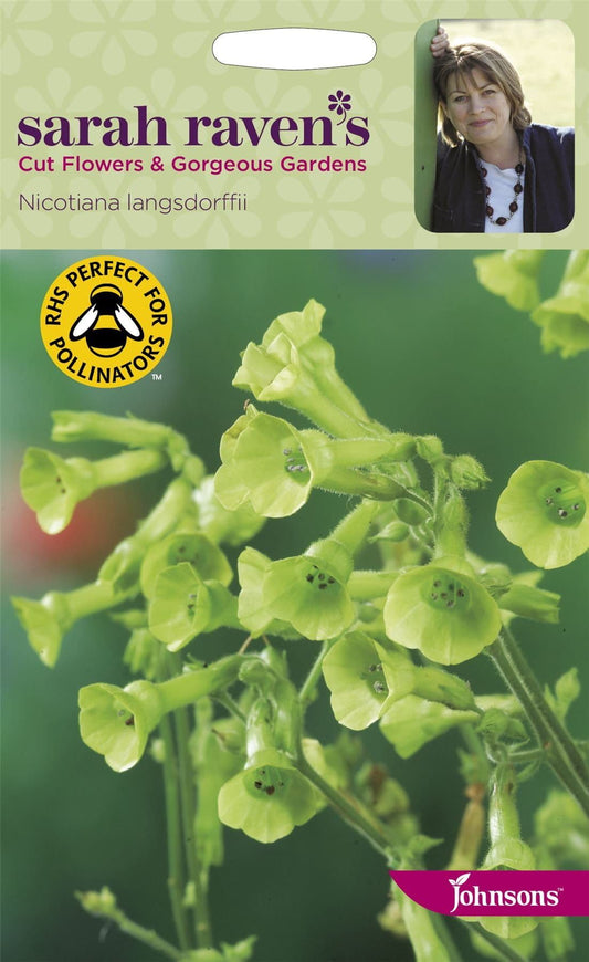Johnsons Sarah Raven's Nicotiana Langsdorffii 500 Seeds