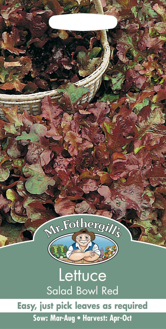 Mr Fothergills Lettuce Red Salad Bowl 1250 Seeds