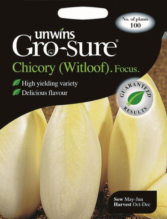 Unwins Chicory (Witloof) Focus F1 100 Seeds