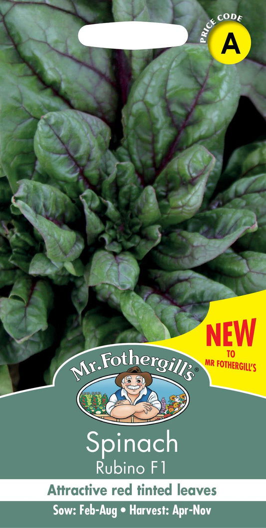 Mr Fothergills - Vegetable - Spinach - Rubino F1 - 300 Seeds