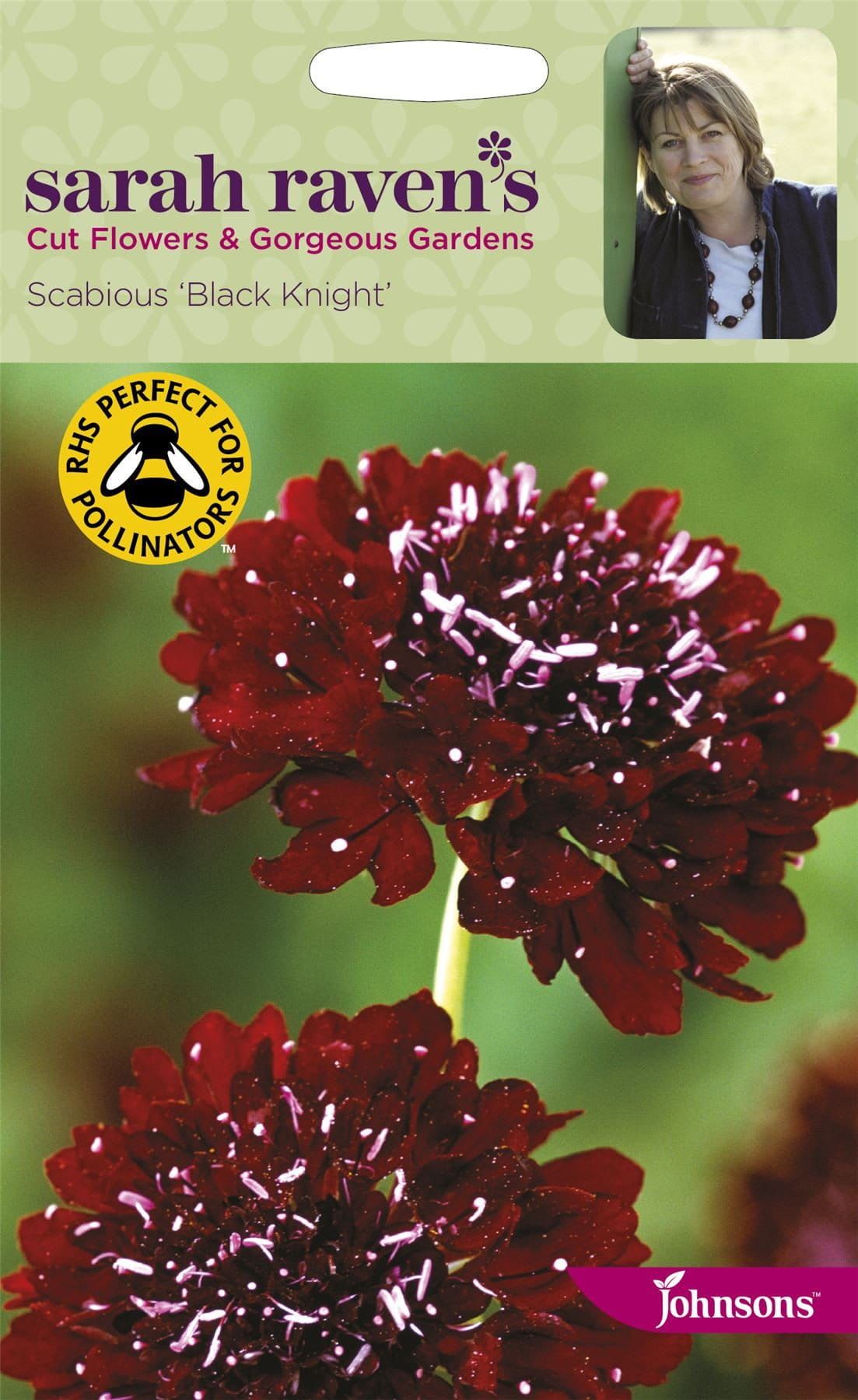 Johnsons Sarah Raven's Scabious Black Knight 50 Seeds