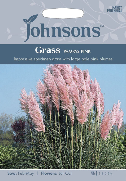 Johnsons Grass Pampas Pink 75 Seeds