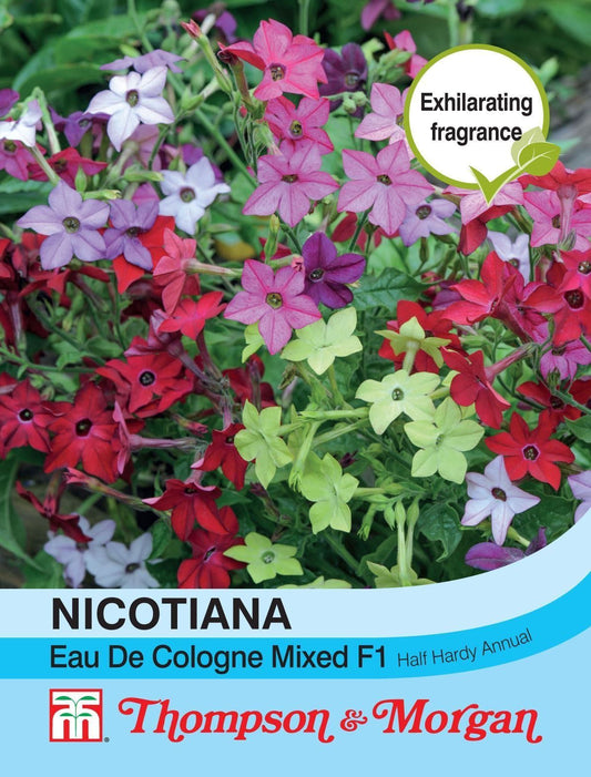 Thompson & Morgan Nicotiana Eau De Cologne Mixed F1 Hybrid 40 Seed