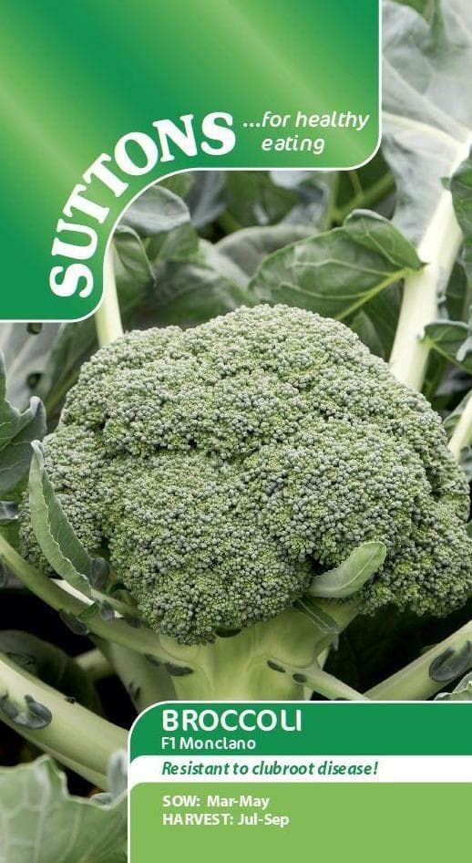 Sutton Seeds - Broccoli Seeds -  F1 Monclano