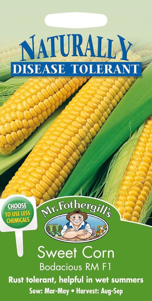 Mr Fothergills Sweet Corn Bodacious RM F1 25 Seeds