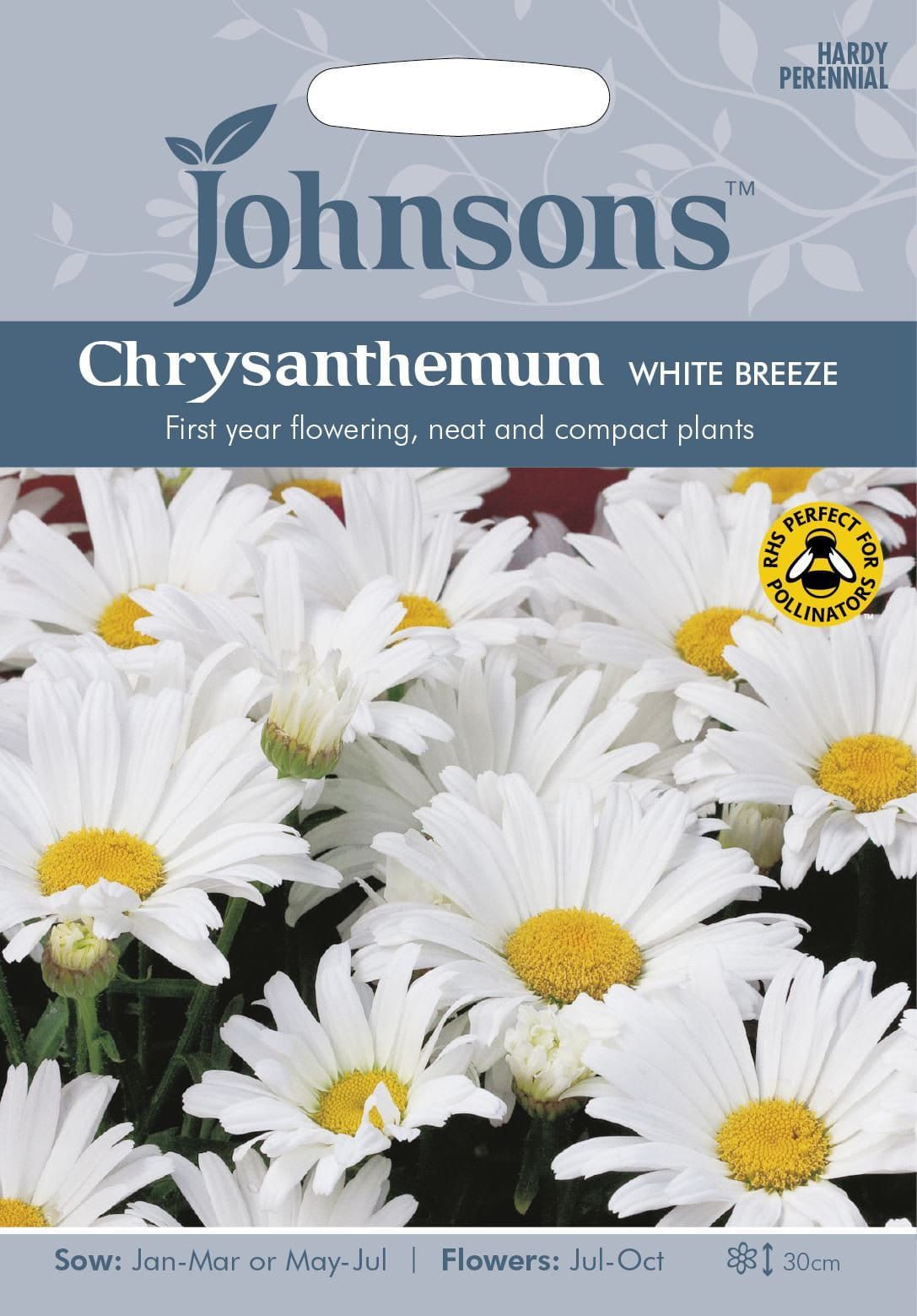 Johnsons Chrysanthemum White Breeze 500 Seeds