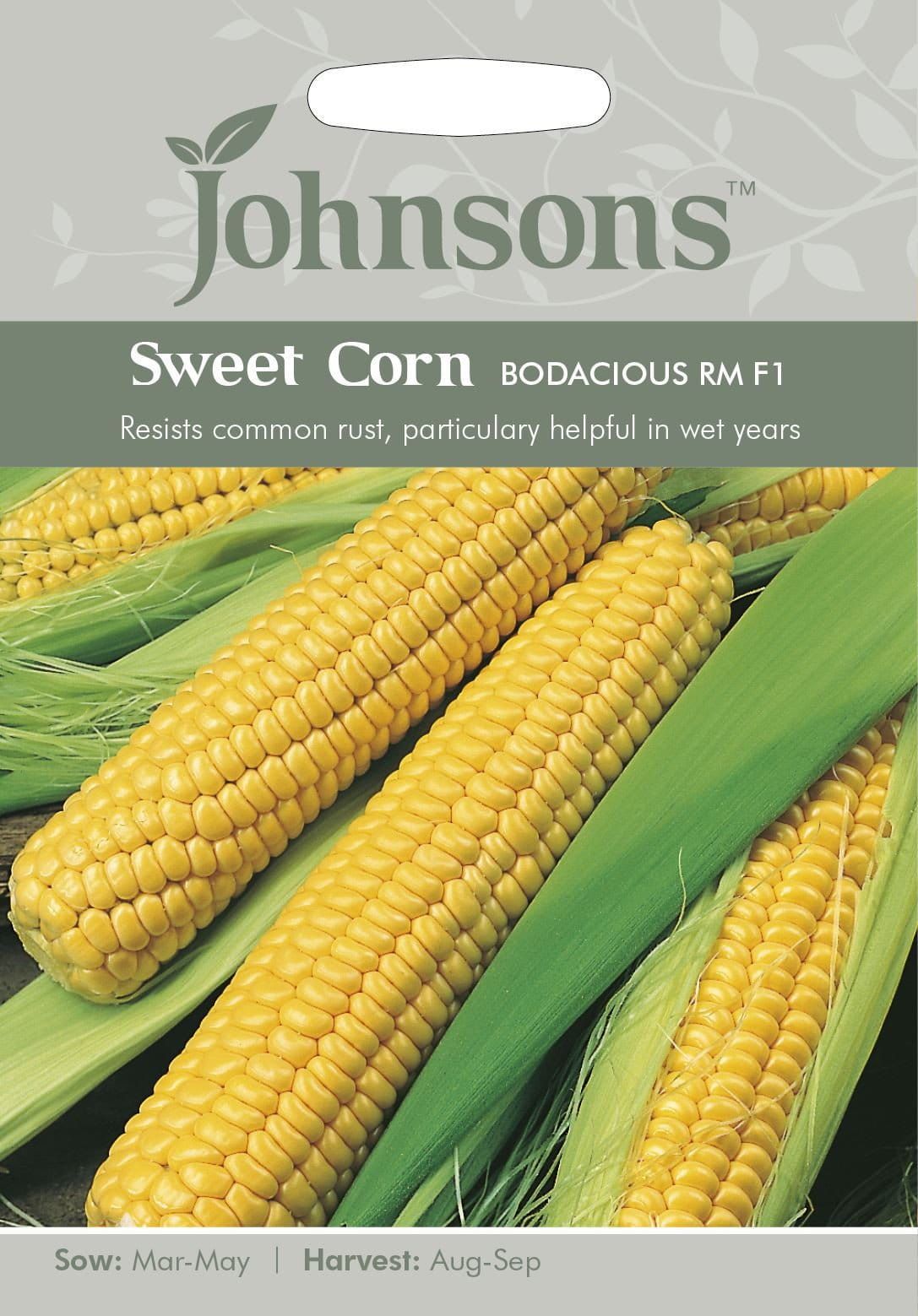 Johnsons Sweet Corn Bodacious RM F1 25 Seeds
