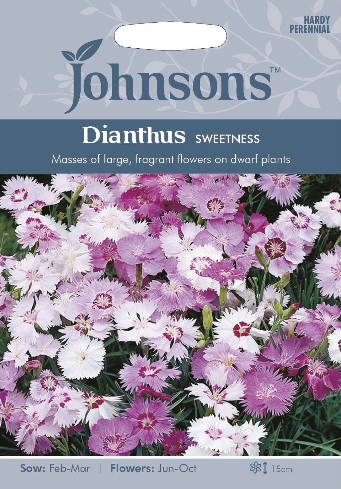 Johnsons Dianthus Sweetness 75 Seeds