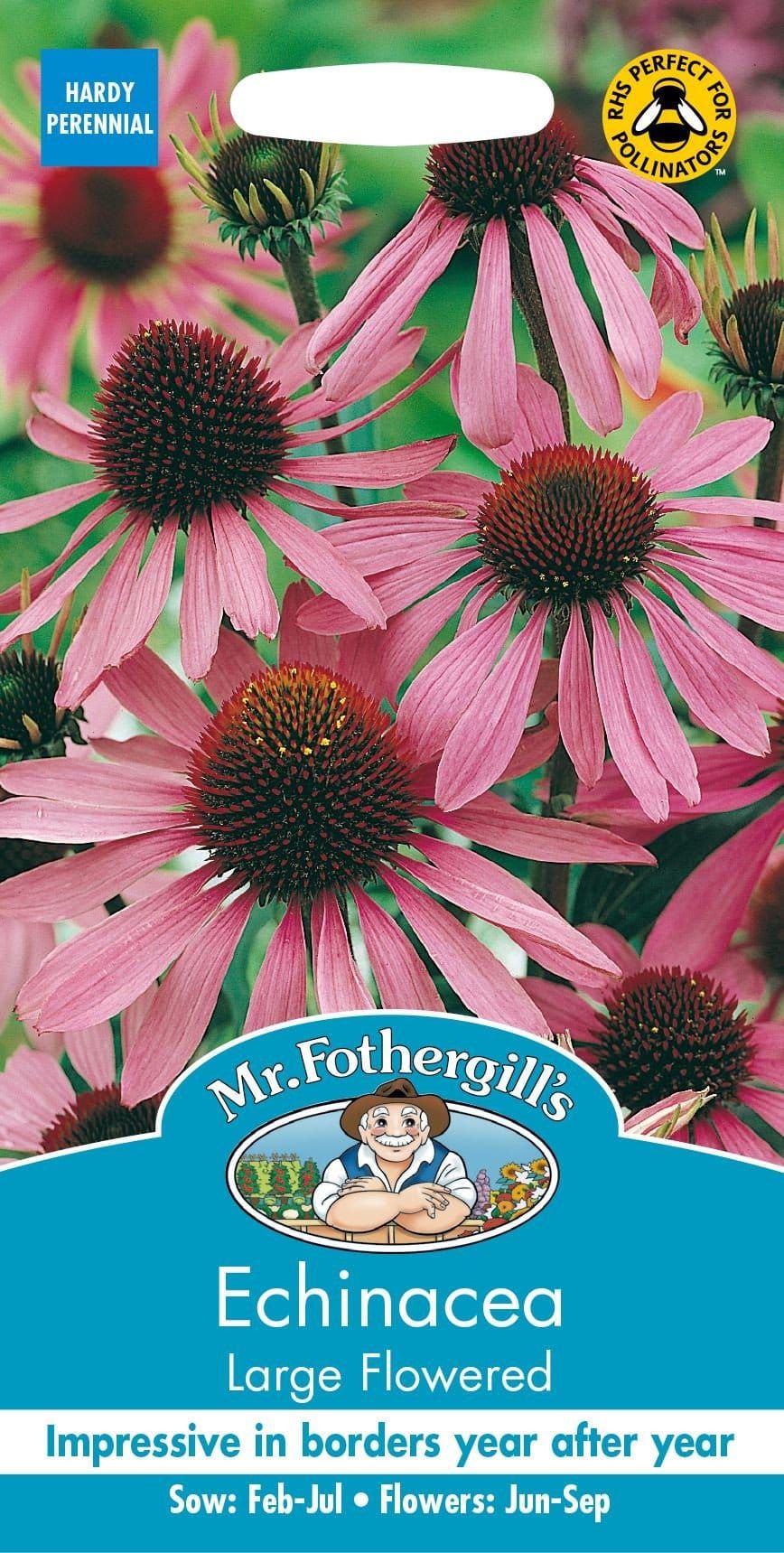 Mr Fothergills Echinacea Large Flowered 50 Seeds