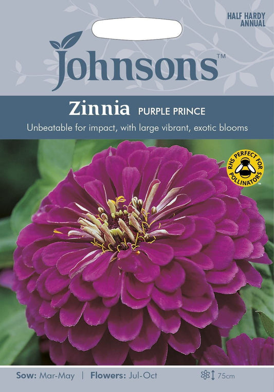 Johnsons Zinnia Purple Prince 60 Seeds