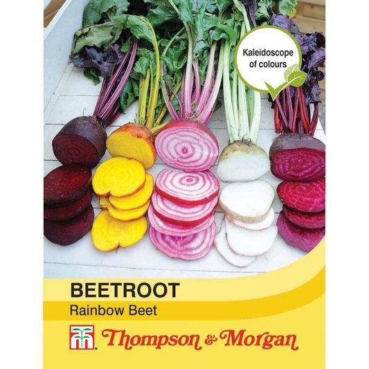 Thompson & Morgan Beetroot Rainbow Beet 250 Seed