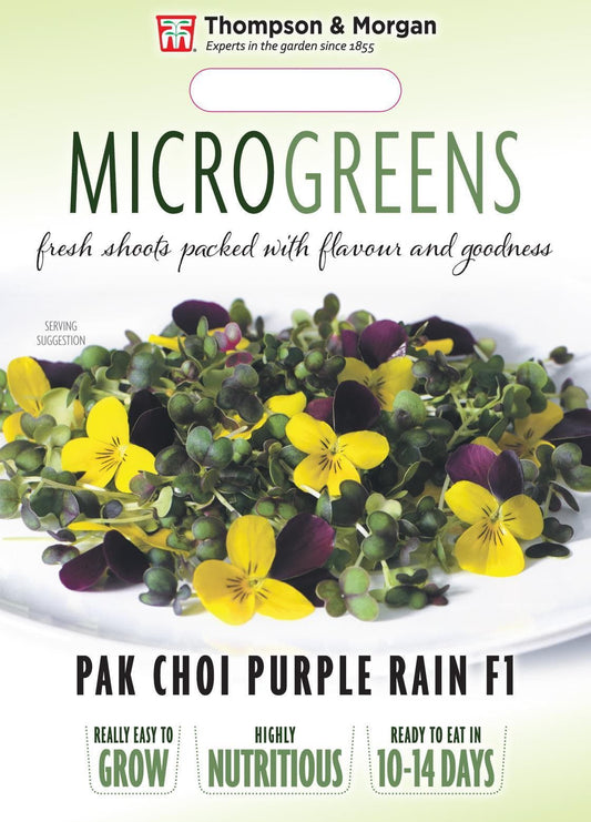 Thompson & Morgan Vegetable Microgreens Pak Choi Purple Rain F1  - 250 Seeds
