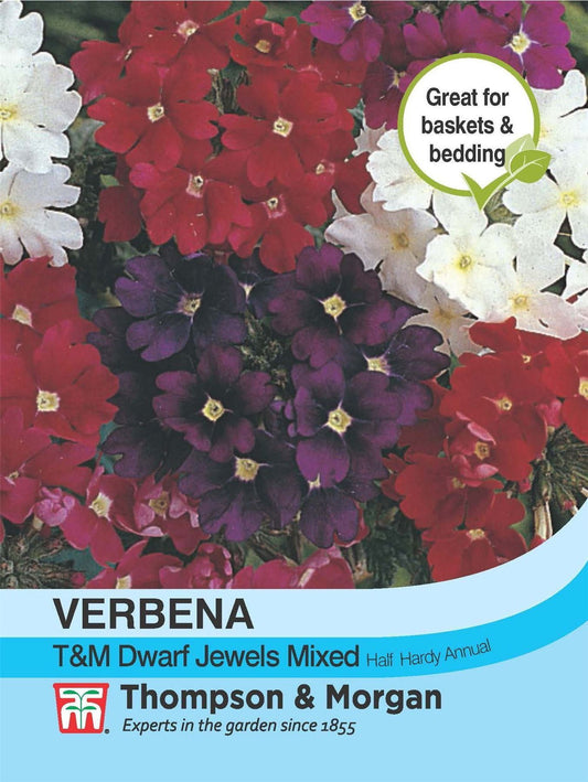 Thompson & Morgan Verbena T&M Dwarf Jewels Mix Seed