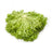 Lettuce Incised Leaf Salanova Experience RZ (79-41) Treated Seed