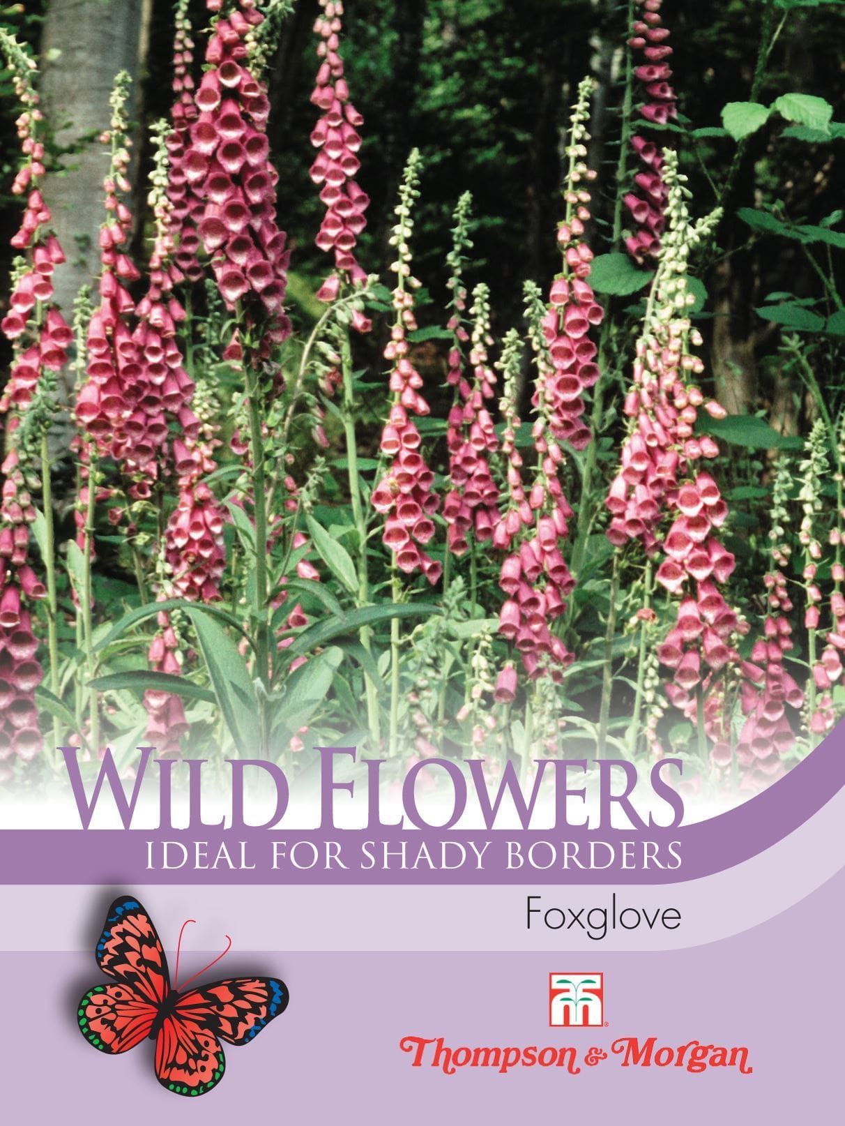 Thompson & Morgan Wild Flower Foxglove 2900 Seed