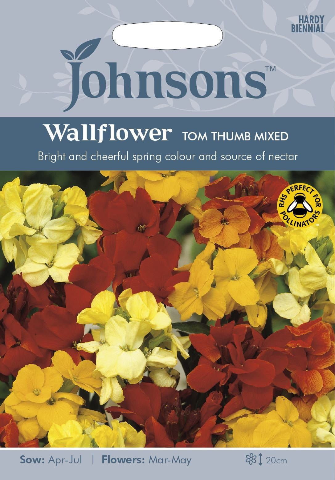 Johnsons Wallflower Tom Thumb Mixed 300 Seeds