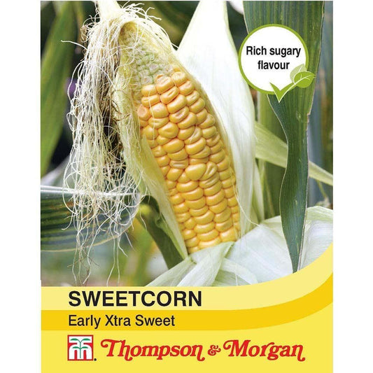 Thompson & Morgan Sweetcorn Early Xtra Sweet F1 Hybrid 30 Seed