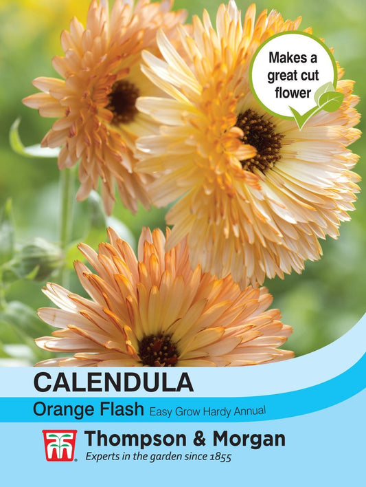 Thompson & Morgan - Flower - Calendula - Orange Flash - 200 Seeds